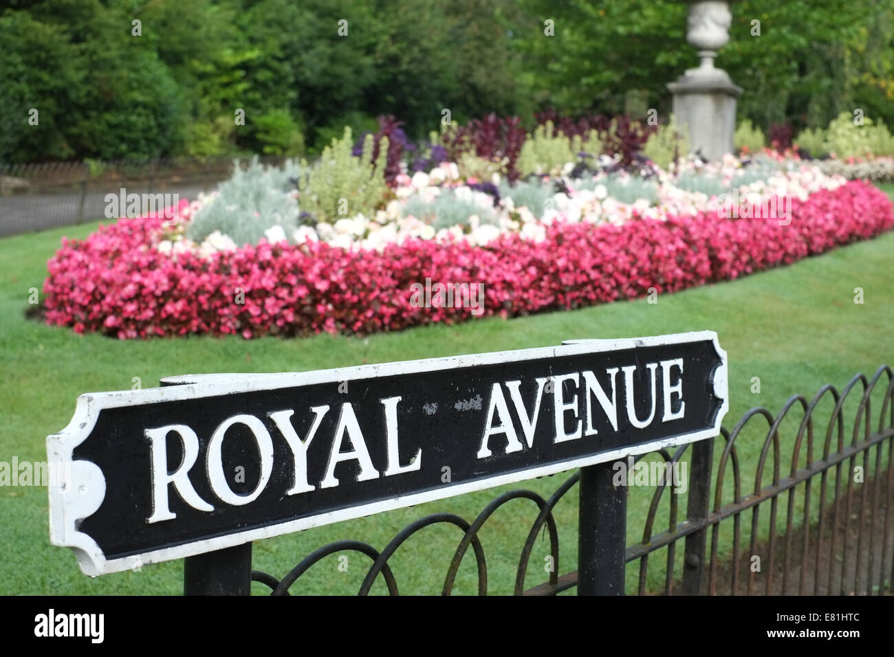 Royal Avenue Sign, Bath, England, UK Stock Photo - Alamy