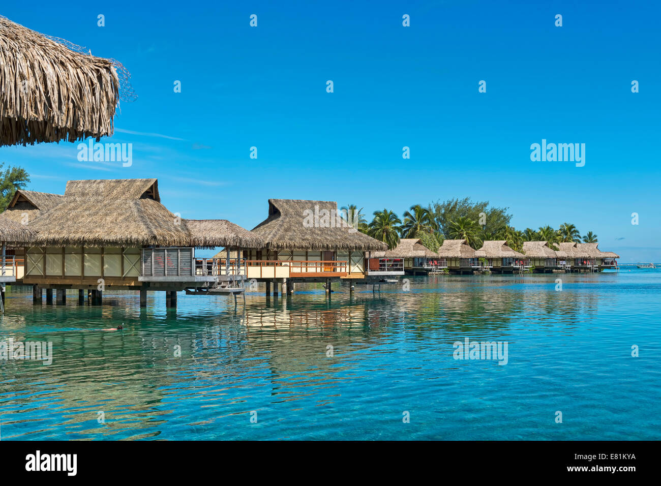 Overwater bungalows, Moorea, French Polynesia Stock Photo