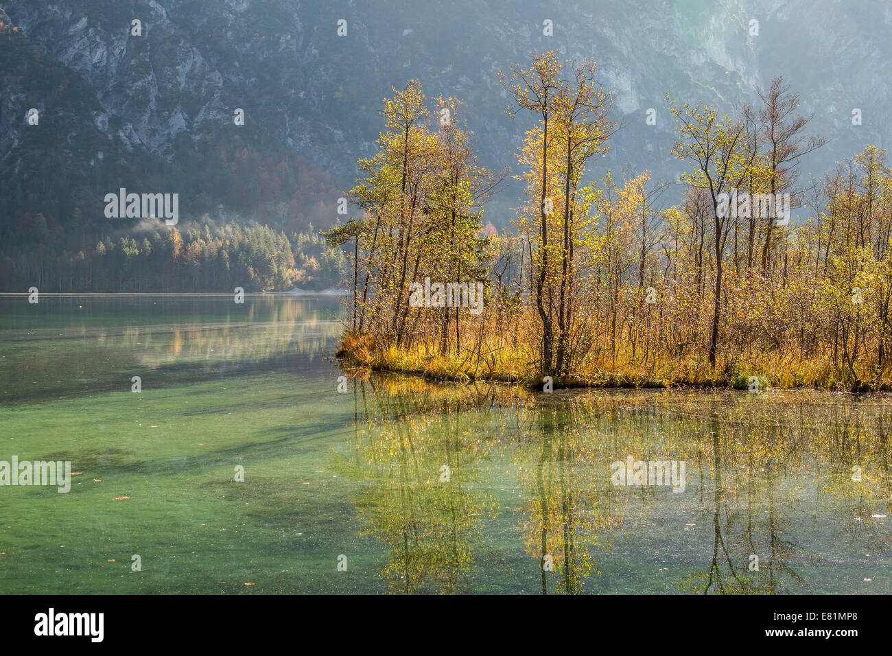 Autumn at Almsee lake, Grünau im Almtal, Upper Austria, Austria Stock Photo