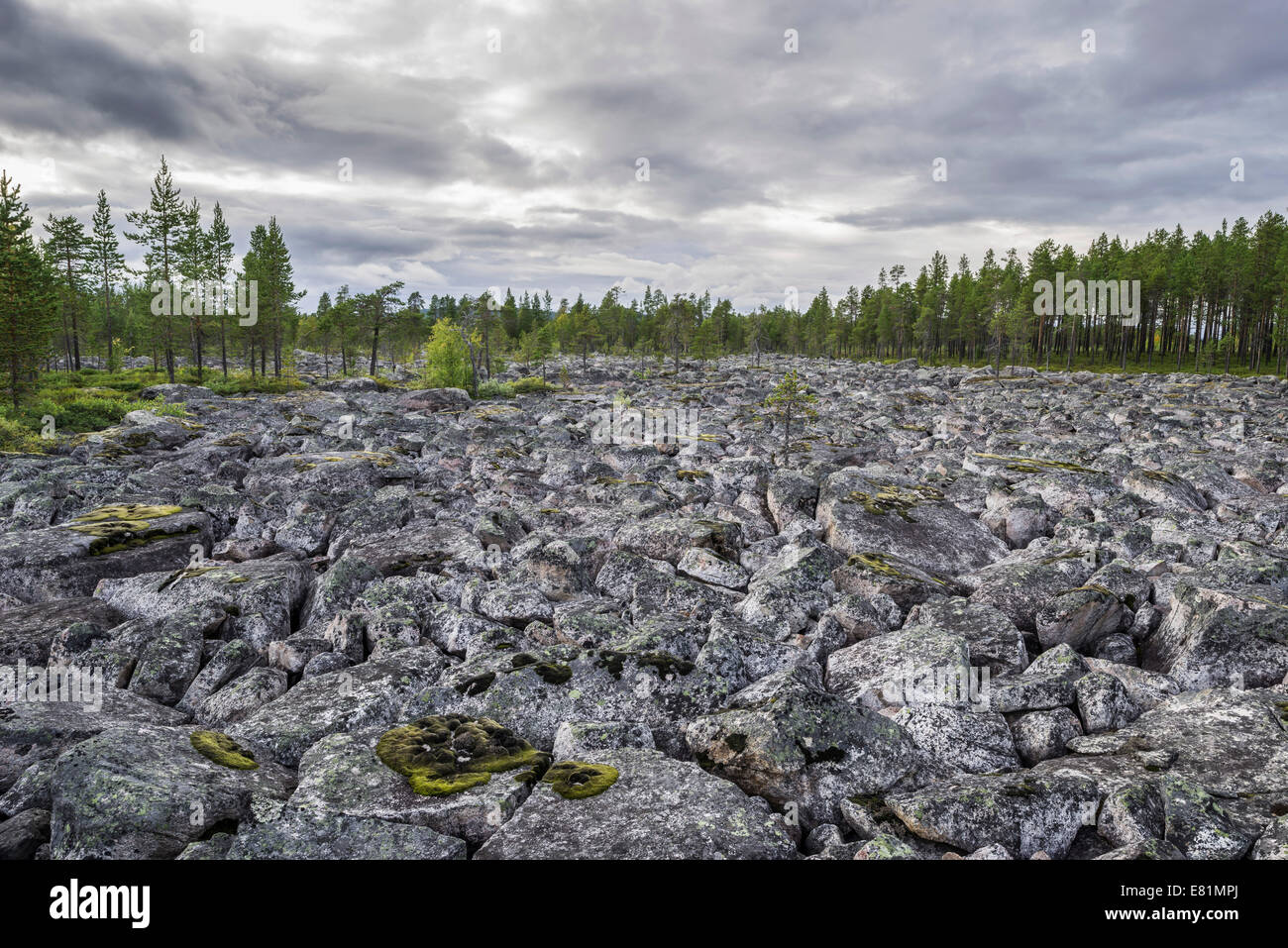Plain covered in rocks, Jokkmokk, Norrbotten County, Sweden Stock Photo