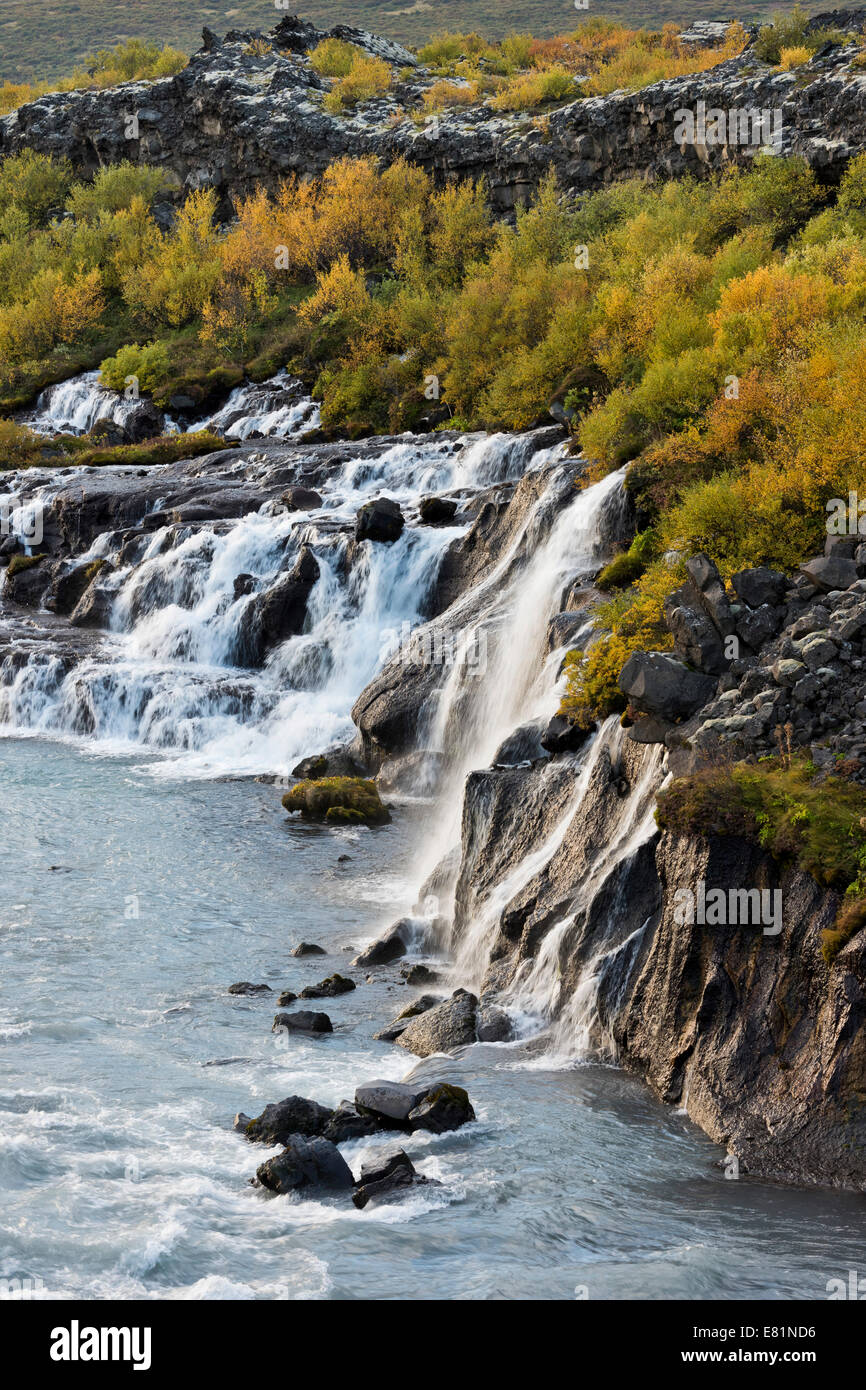 Hraunfossar, waterfalls of the Hvítá river in autumn, near Húsafell and Reykholt, Iceland Stock Photo