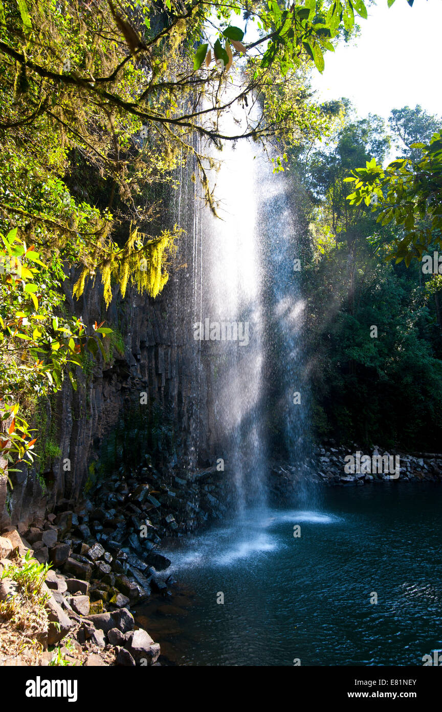 Millaa Millaa Falls, Atherton Tableland, Queensland, Australia Stock Photo Alamy