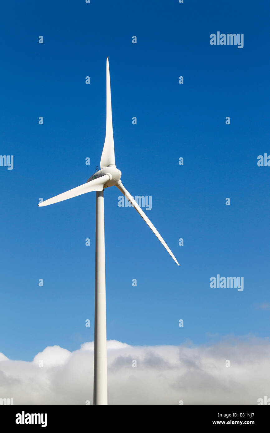 Windmill on a wind farm near Zahara de los Atunes, Cádiz province, Andalucía, Spain Stock Photo