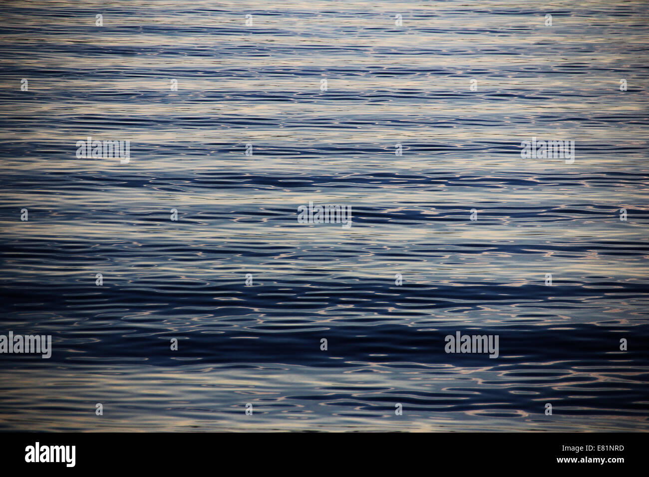 Uniform water waves, Lake Constance, Germany Stock Photo