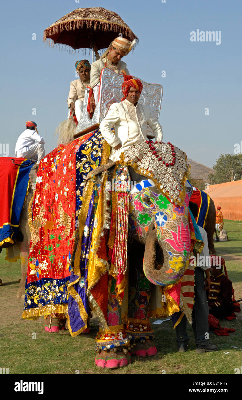 An Ornately decorated Elephant at the Jaipur Elephant Festival of 2009