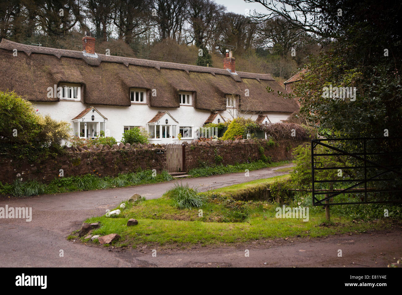 UK, England, Somerset, Holford, thatched weavers cottages