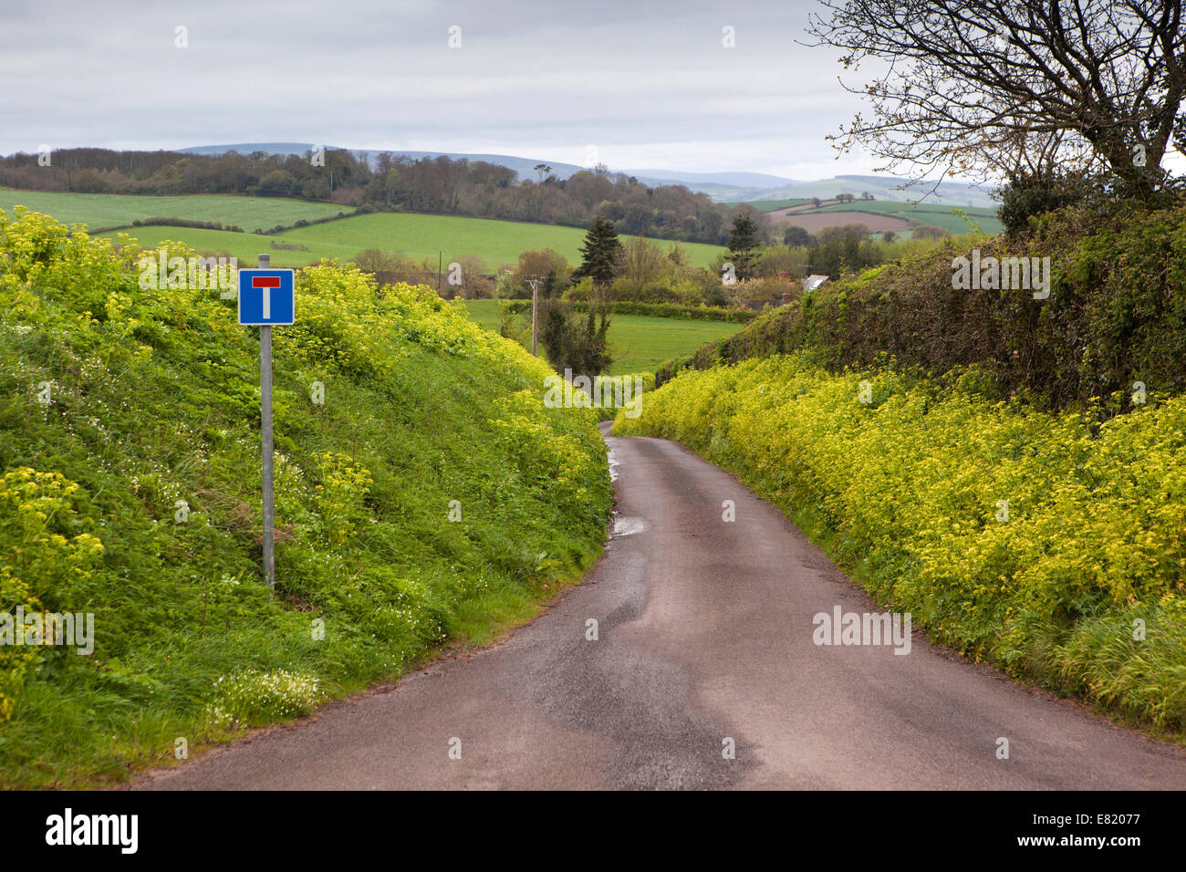 UK, England, Somerset,  no through road to Capton village above Sampford Brett, Stock Photo