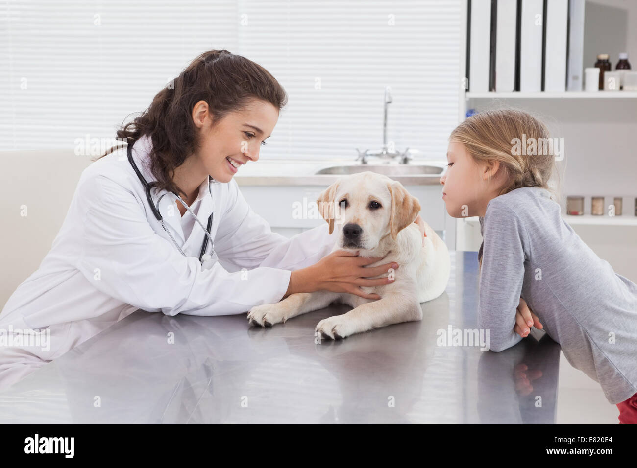 Smiling vet examining a dog with its owner Stock Photo - Alamy