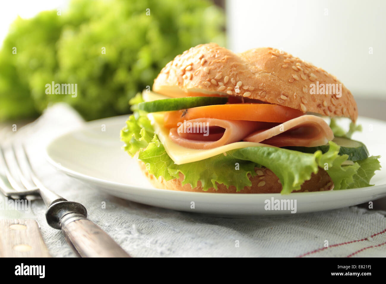 Fresh sandwich with ham and cheese on a plate Stock Photo