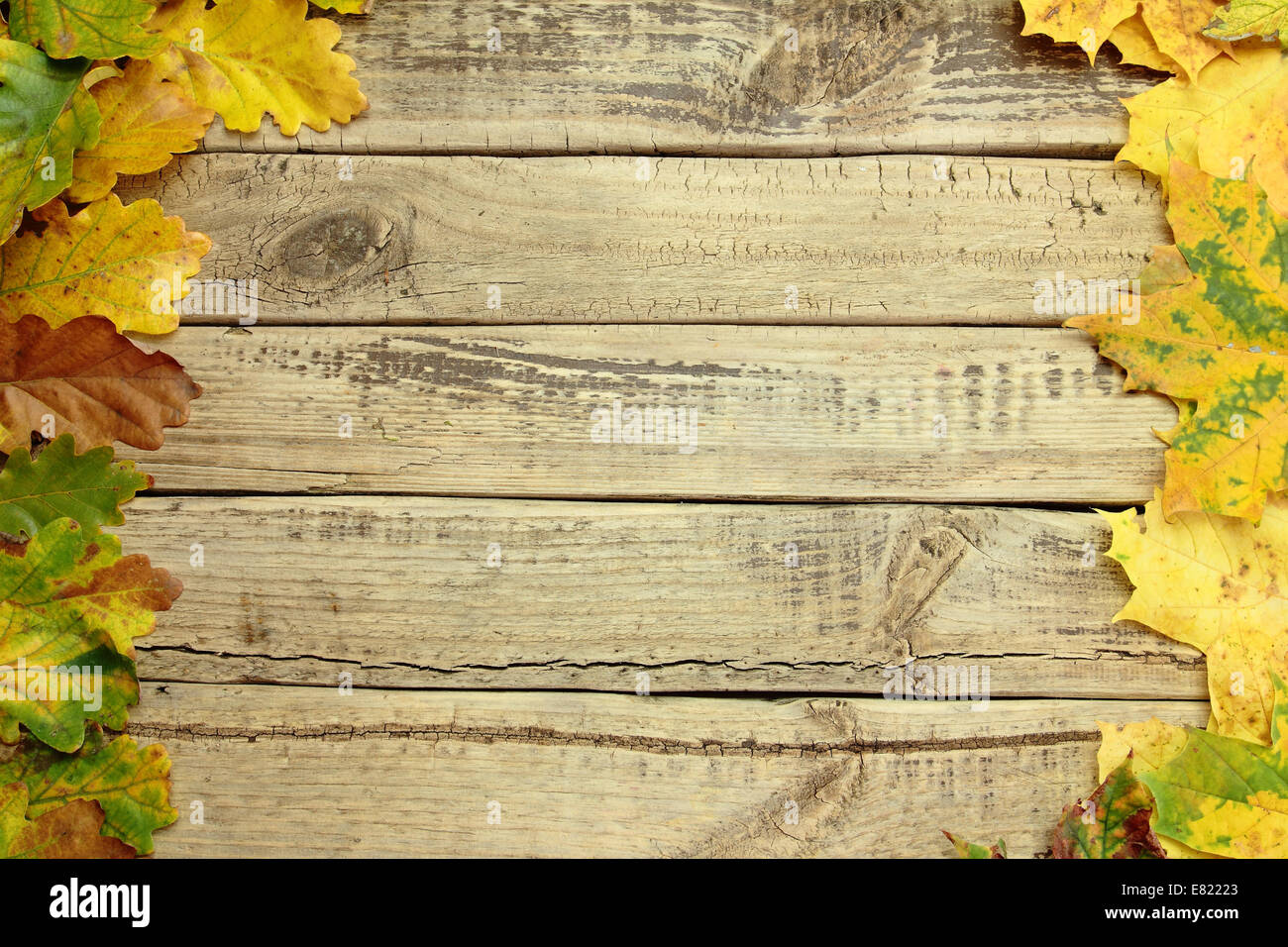 Autumn background with colors leafs on wooden board Stock Photo