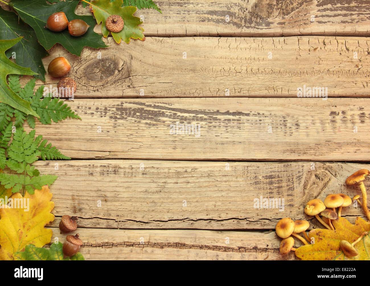 Autumn background with color leafs on wooden board Stock Photo