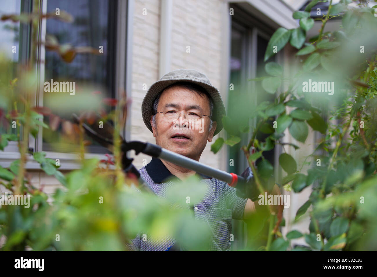 A man working in his garden. Stock Photo