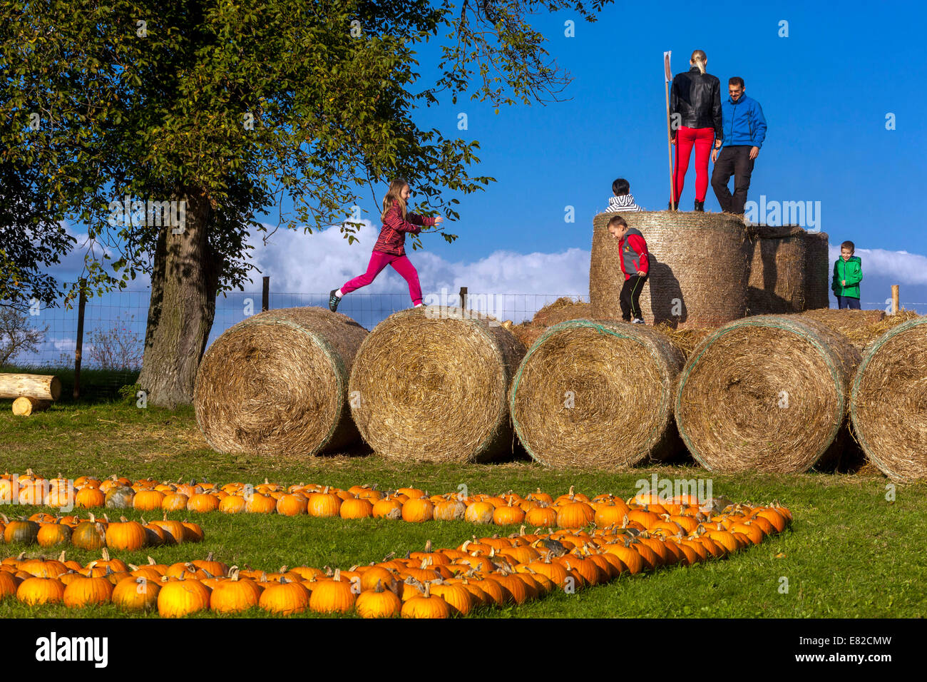 Pumpkins farm children play on straw bales Stock Photo