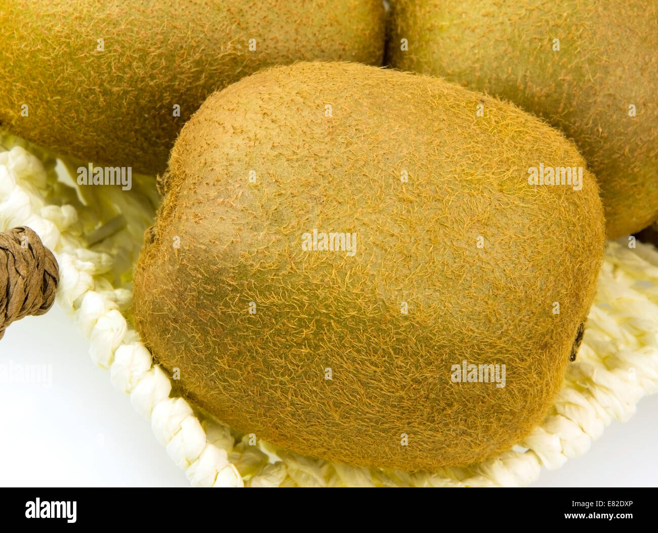 Fluffy kiwi hi-res stock photography and images - Alamy