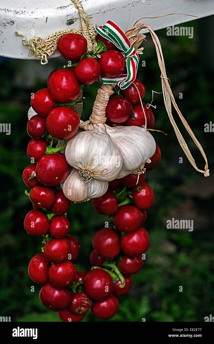 Tomatoes and garlic tied in a cluster. Specific Hungary. Stock Photo