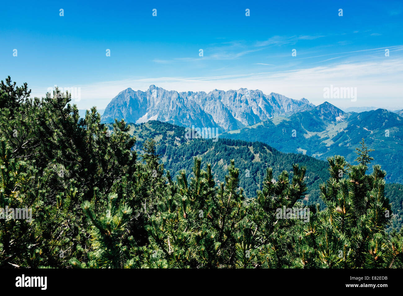 Wilder Kaiser seen from the Unterberg mountain in Kossen, Tirol, Austria Stock Photo