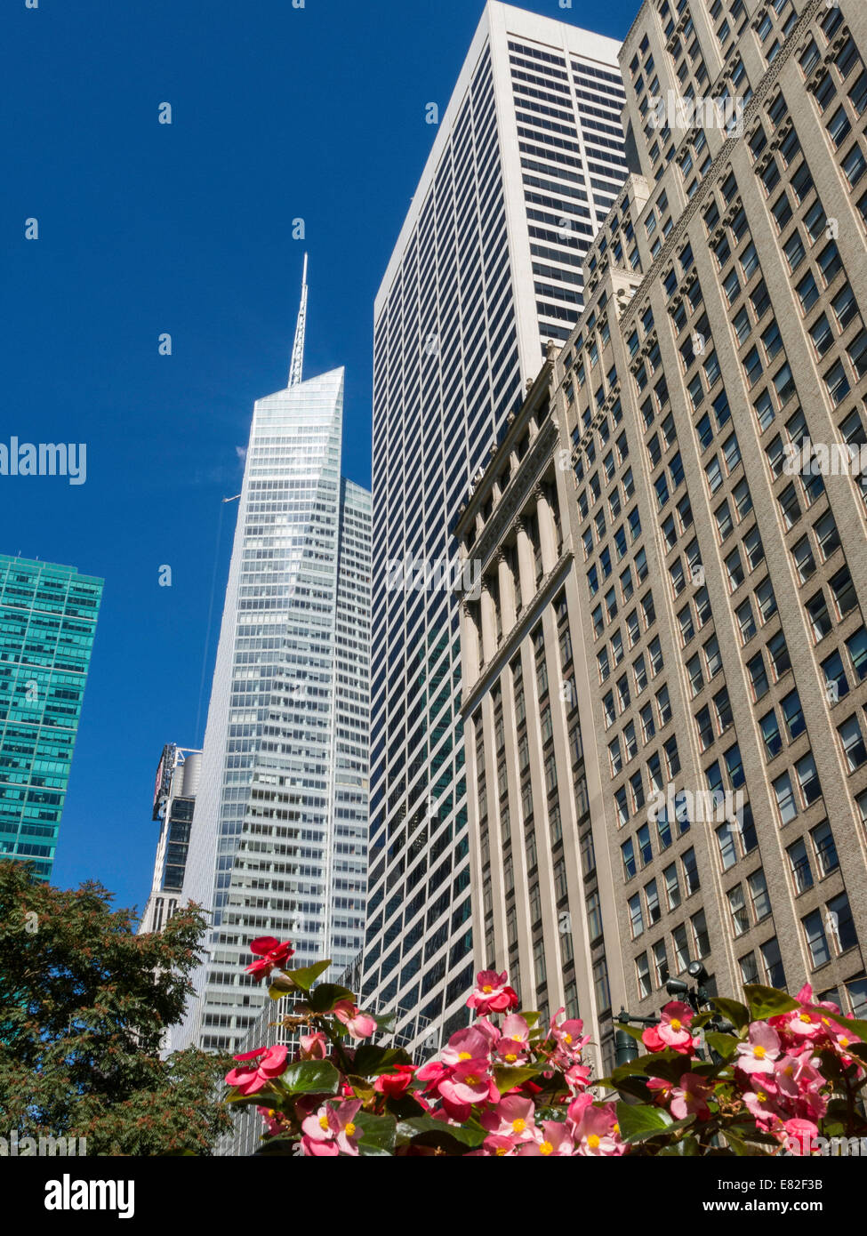 Boa tower hires stock photography and images Alamy