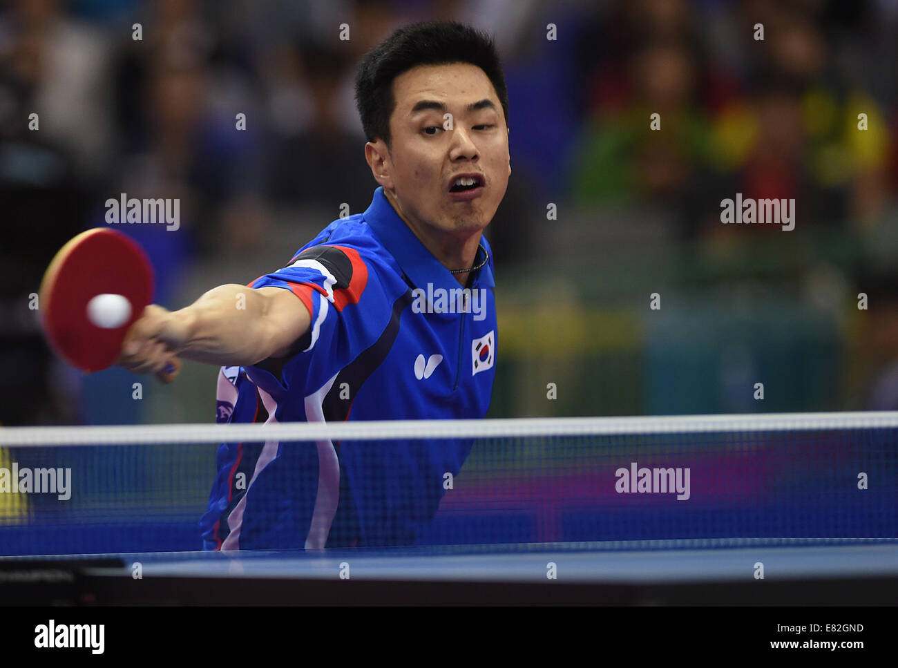 Incheon, South Korea. 29th Sep, 2014. Joo Saehyuk of South Korea competes  during the men's table tennis team semifinal match against Chinese Taipei  at the 17th Asian Games in Incheon, South Korea,