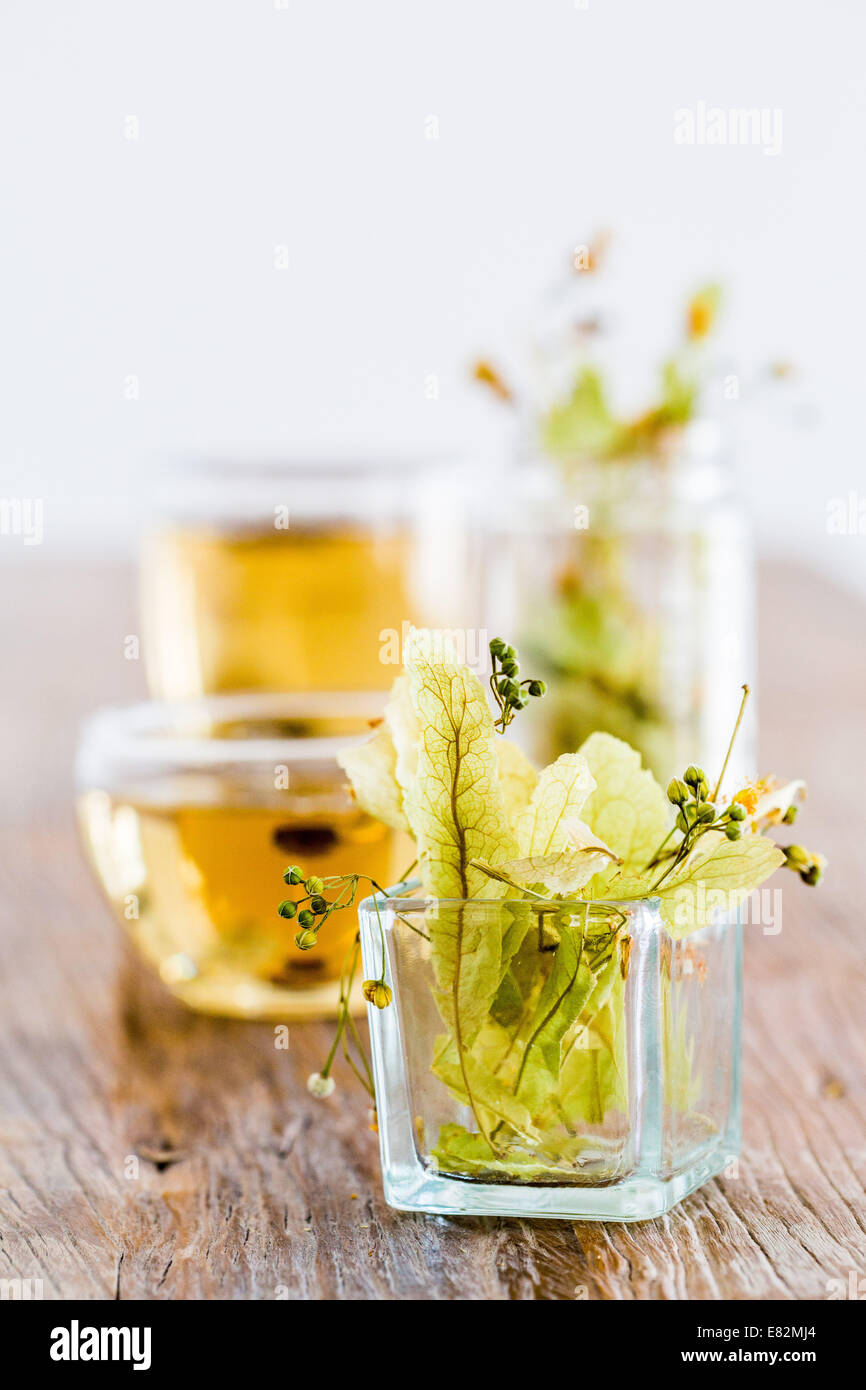 Linden herbal tea. Stock Photo