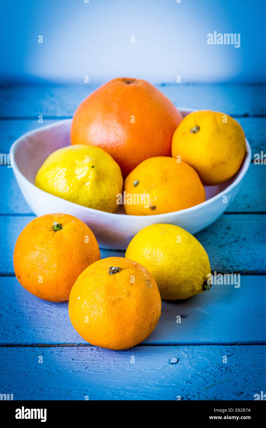 Citrus fruits assorted. Stock Photo