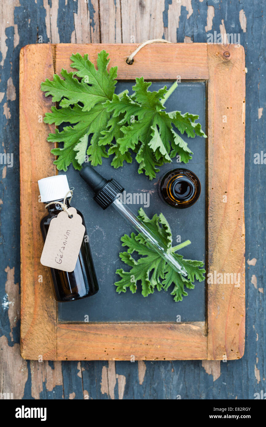 Essential oil of geranium Stock Photo Alamy