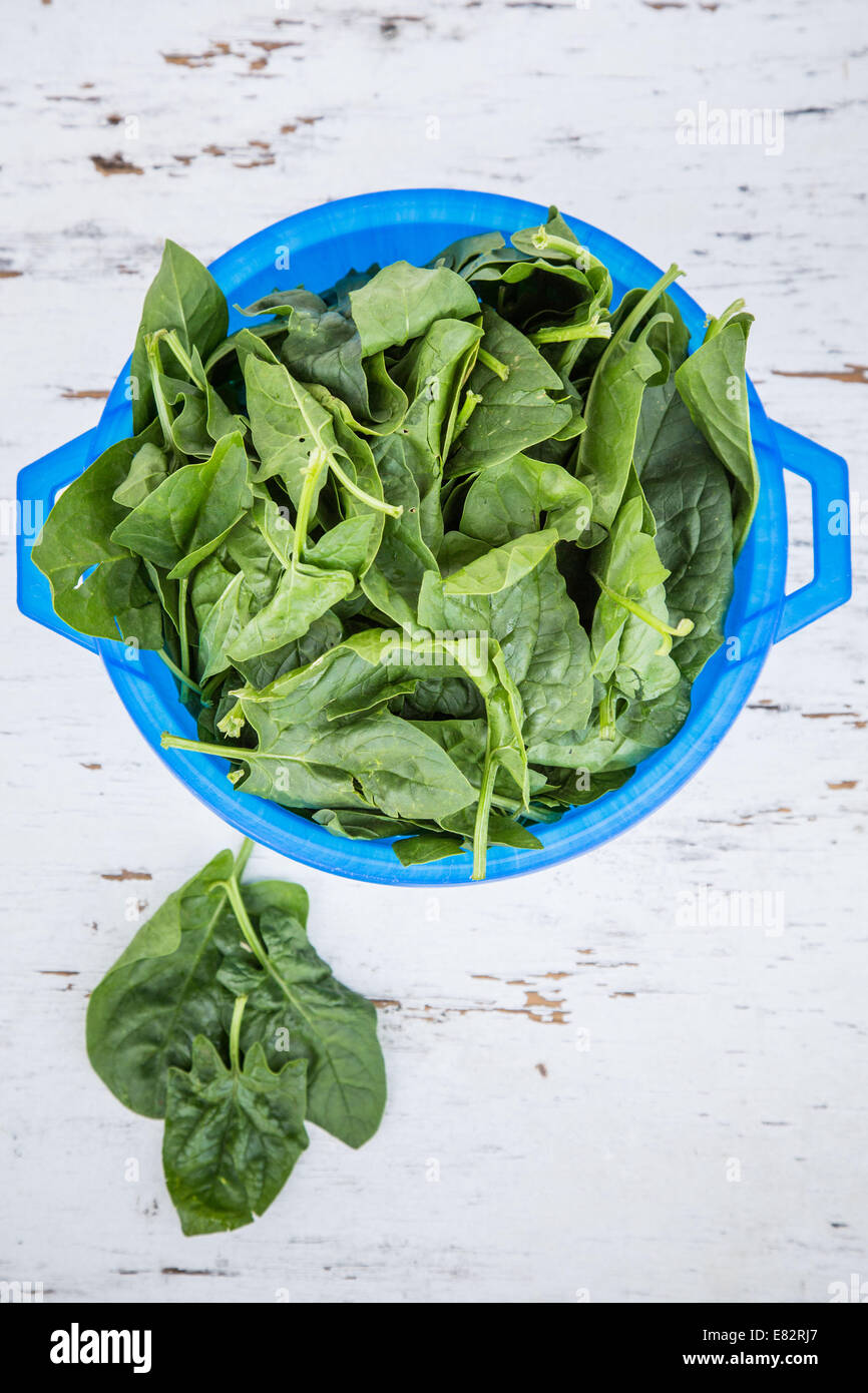 Spinach leave hires stock photography and images Alamy