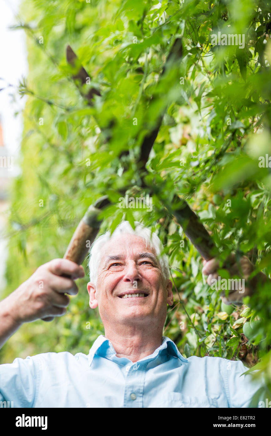 Senior man gardening Stock Photo - Alamy