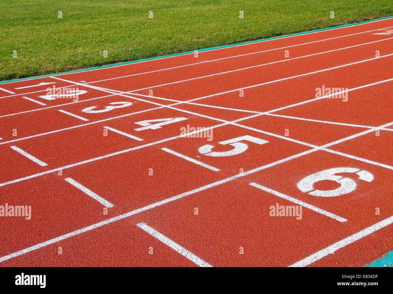 track spike size chart