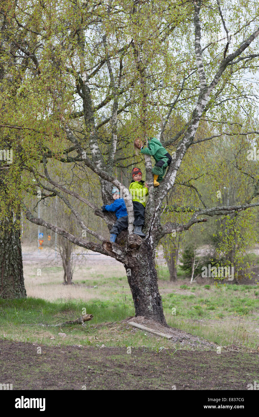 Children climbing in a tree Stock Photo