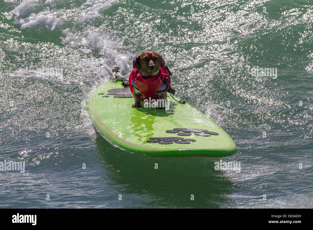 Coppertone hires stock photography and images Alamy