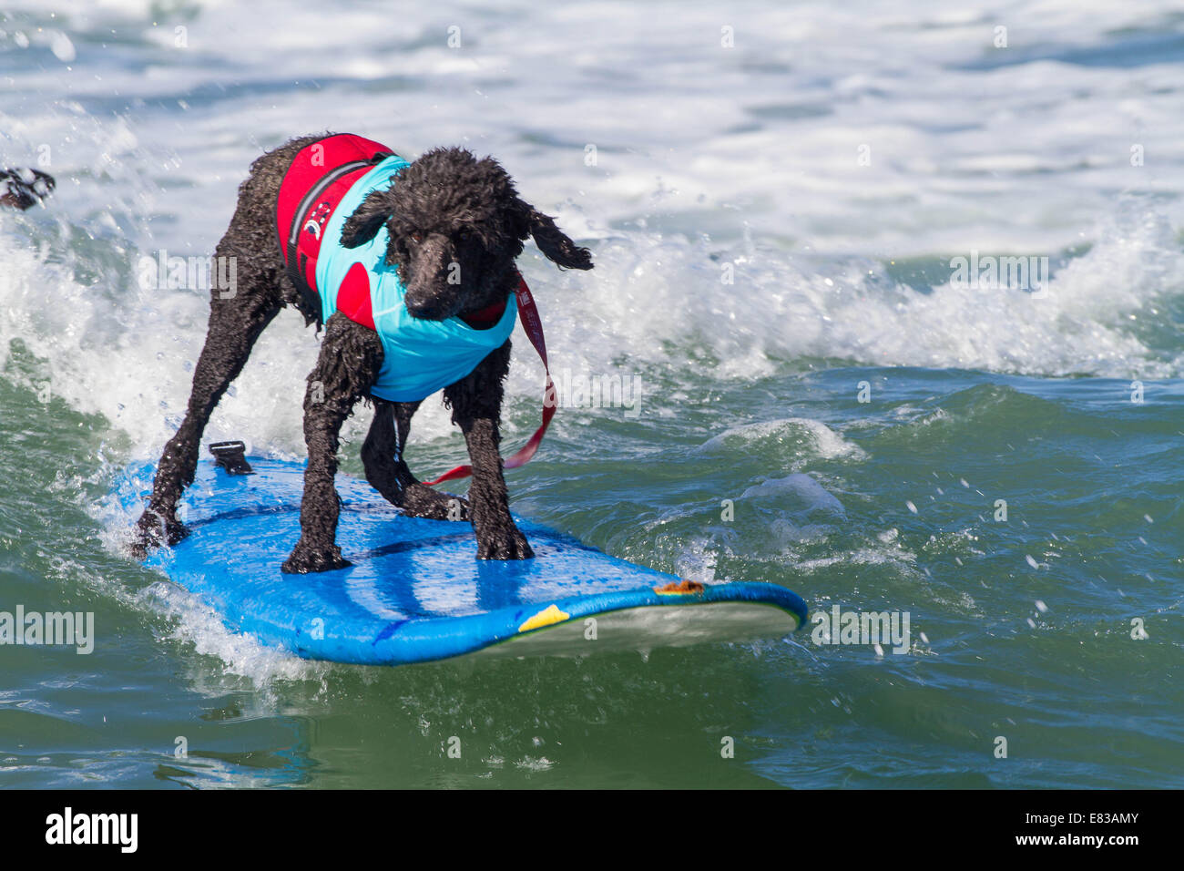 Daren dukes hi-res stock photography and images - Alamy