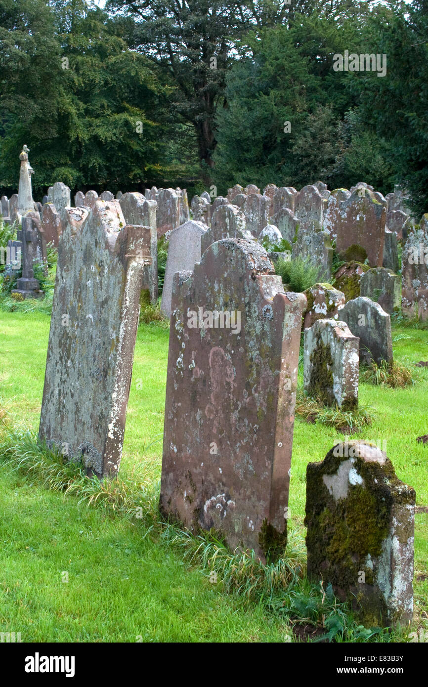 lichen covered gravestones Stock Photo