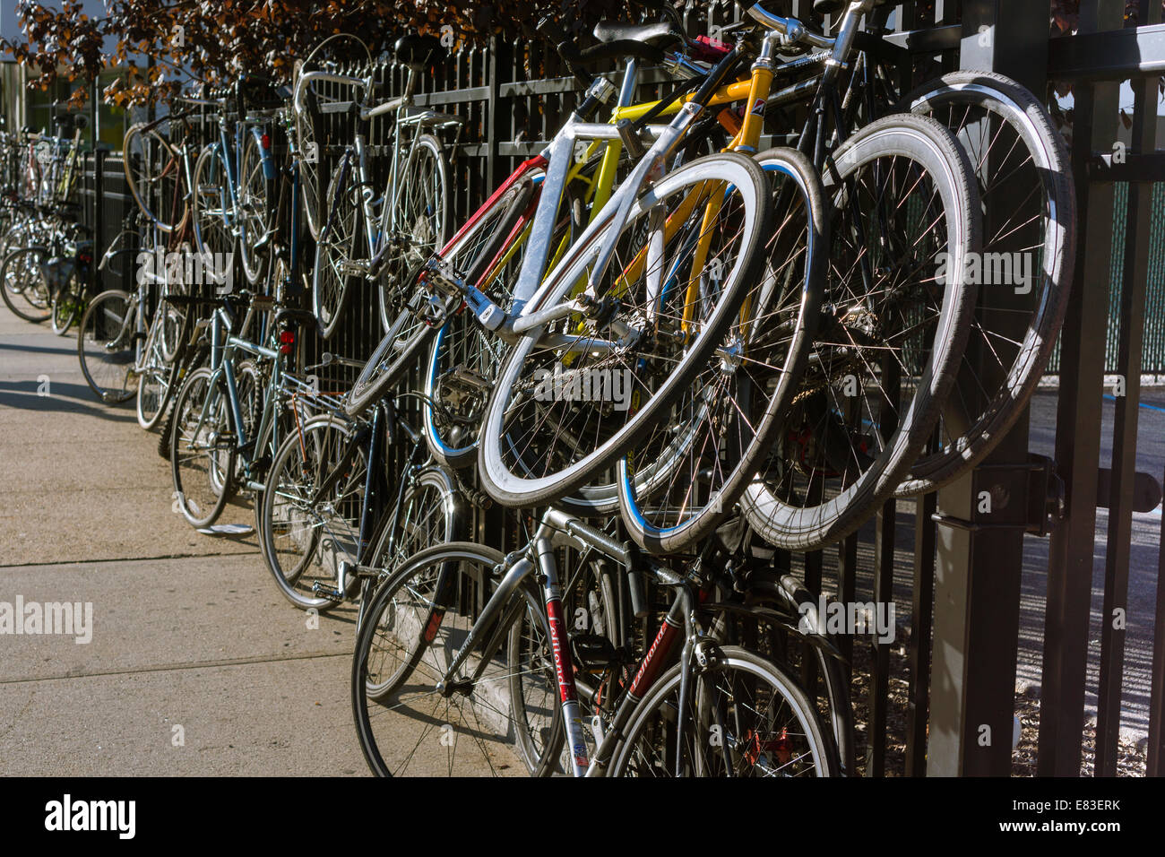 Bicyclists park their bikes where they can outside of MoMA in Long Island City in New York Stock Photo - Alamy