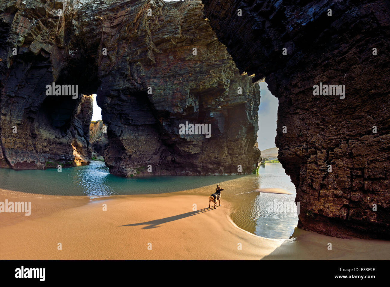 Spain, Galicia: Small dog in a cave looking to the rock arcs at Cathedral´s beach Stock Photo