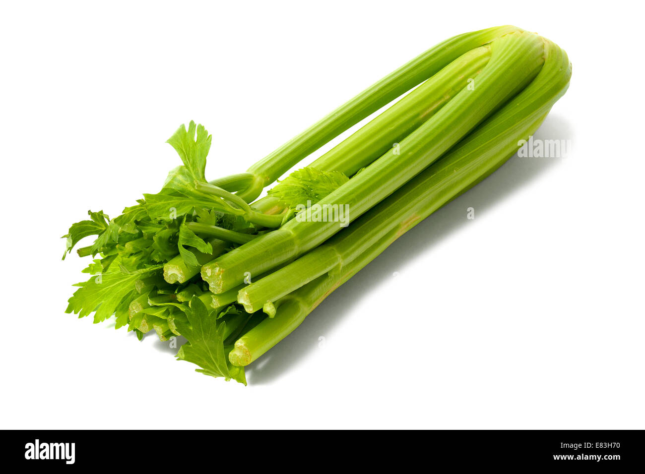 Celery on White Stock Photo Alamy