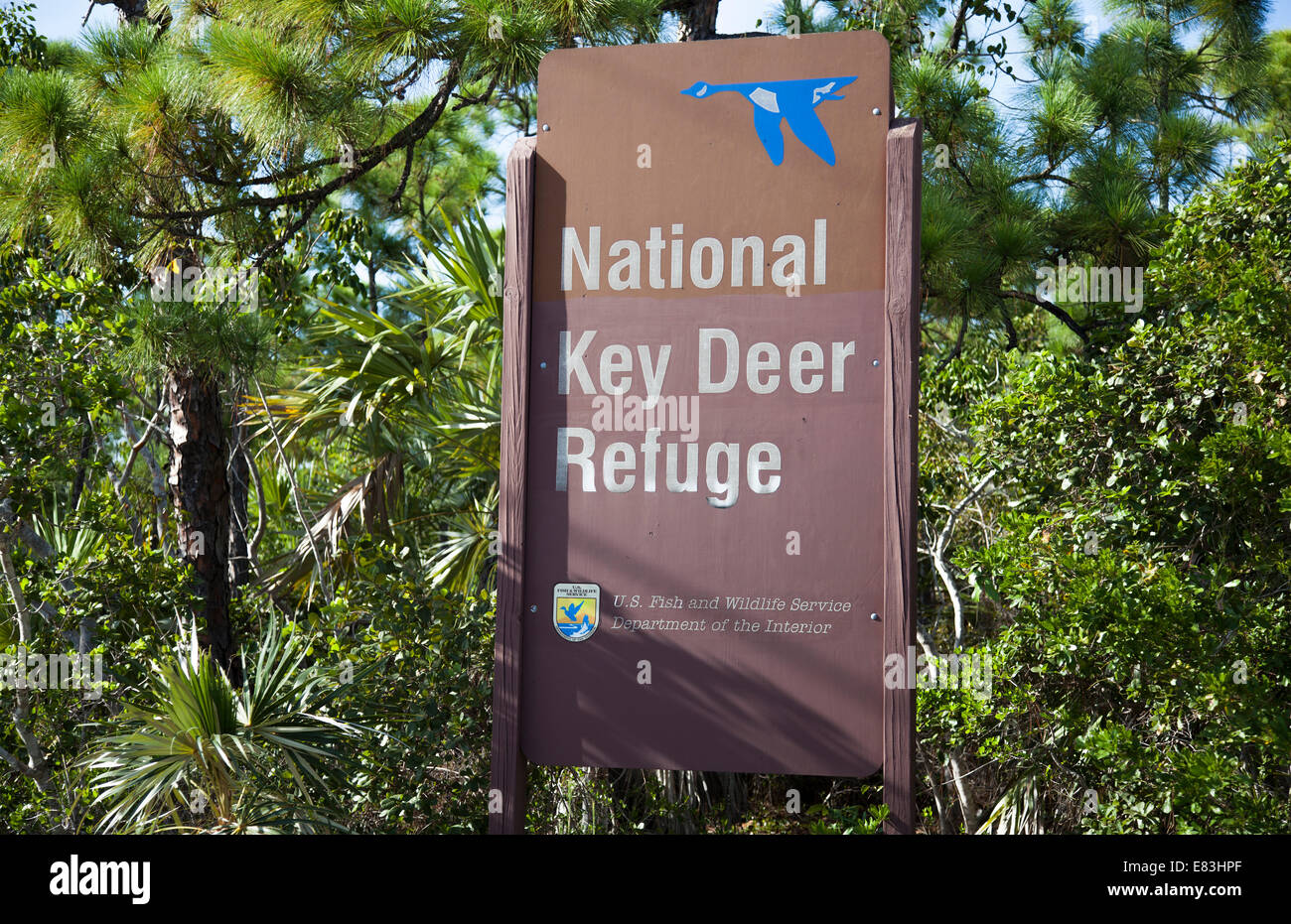 big pine key deer refuge