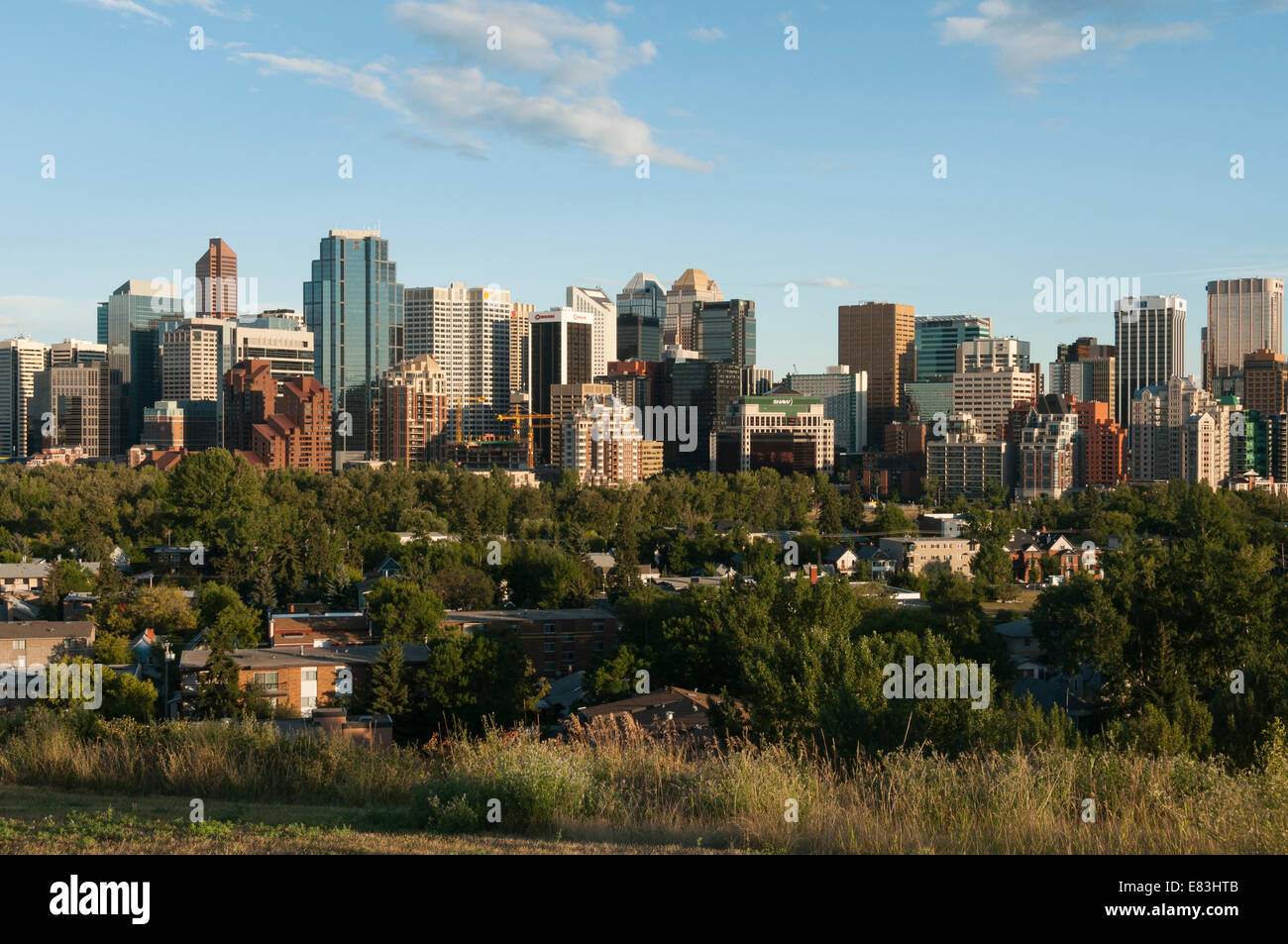 Elk203-6027 Canada, Alberta, Calgary, skyline Stock Photo