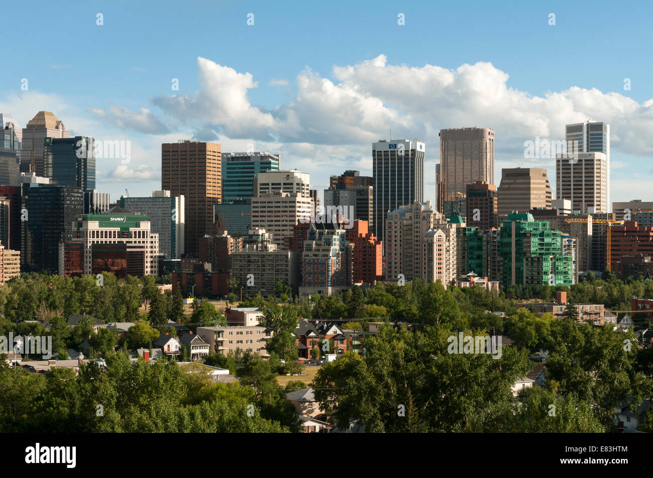 Elk203-6037 Canada, Alberta, Calgary, skyline Stock Photo