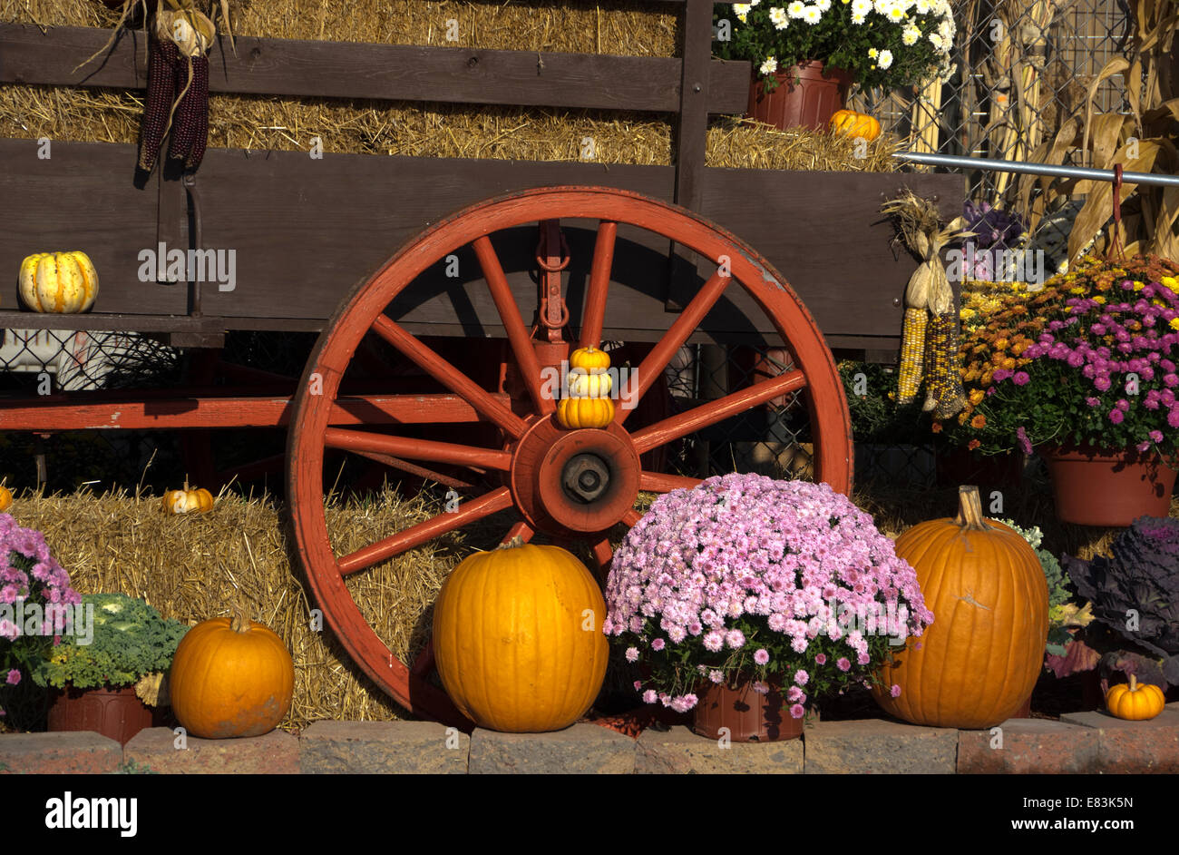 Autumn farm produce and flower display at vegetable market Stock Photo