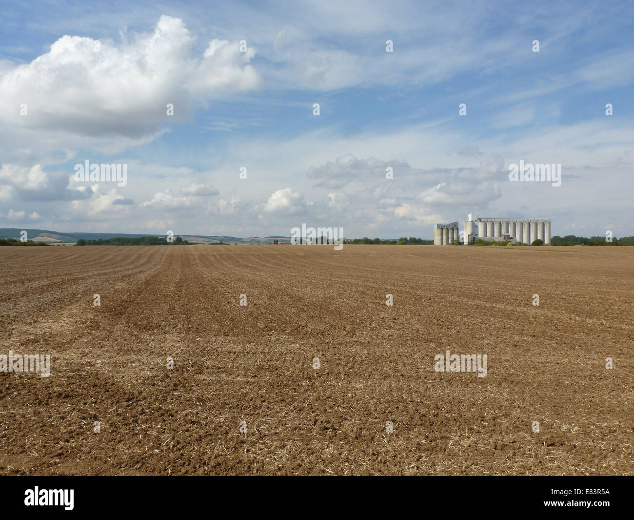 field for cereals in Champagne in France Stock Photo Alamy