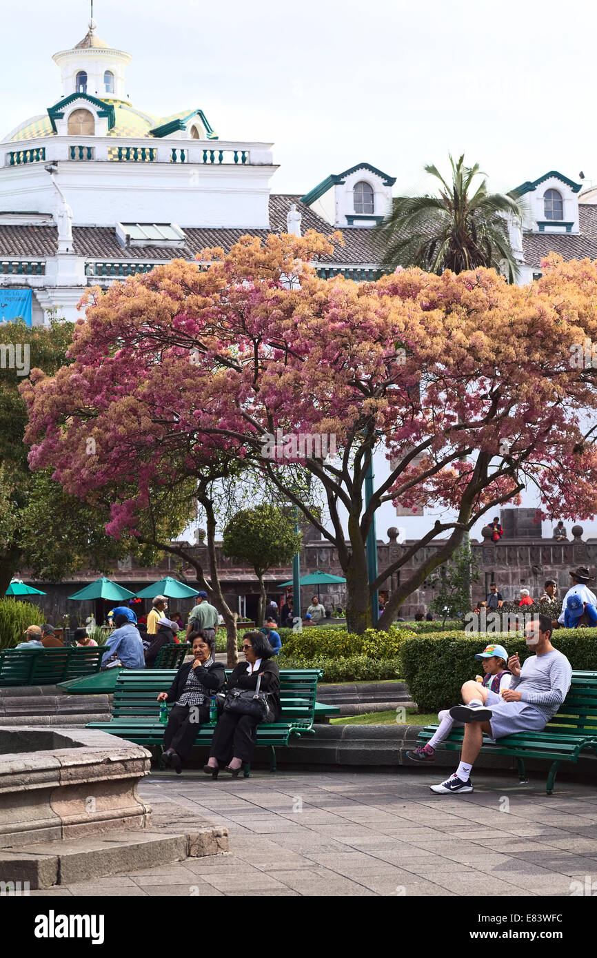 People sitting on benches on Plaza Grande (main square) in the city center in Quito, Ecuador Stock Photo