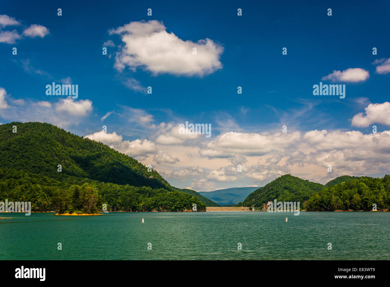 Watauga Lake, in Cherokee National Forest, Tennessee Stock Photo Alamy