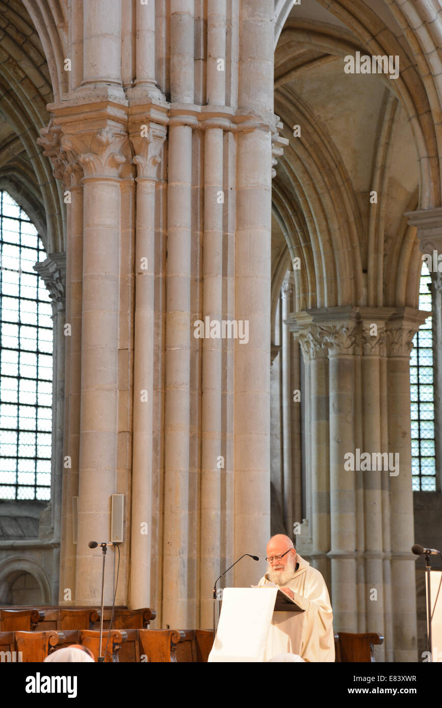 st marie madeleine cathedral in vezelay, france Stock Photo Alamy