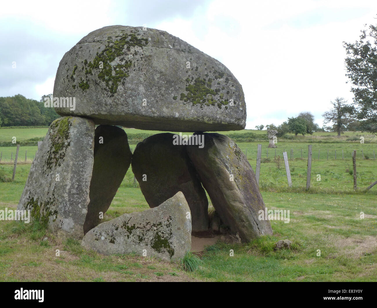 ancient menhir of St. Priest la Feuille in France Stock Photo