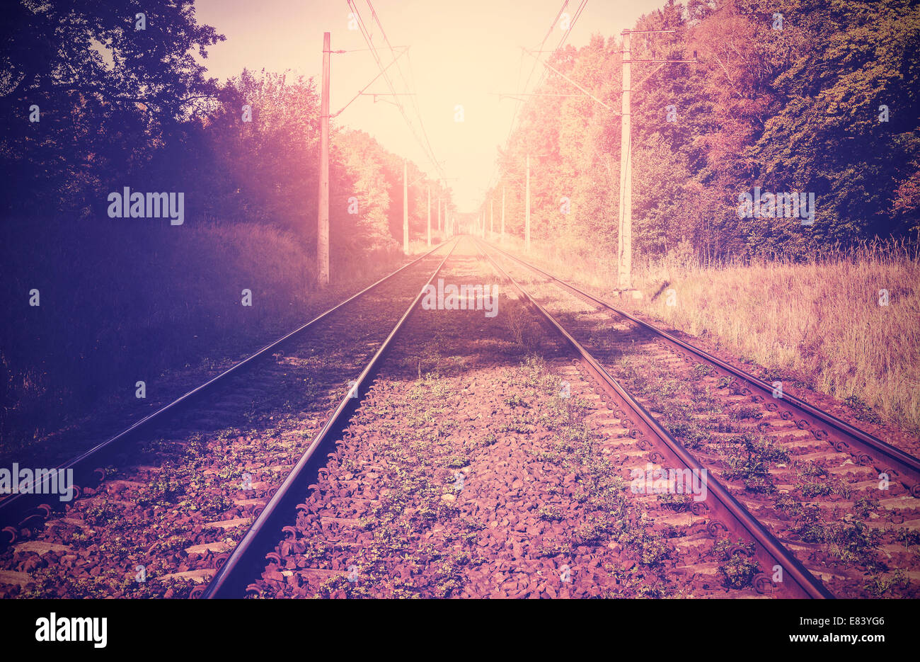 Vintage filtered picture of railroad tracks. Stock Photo