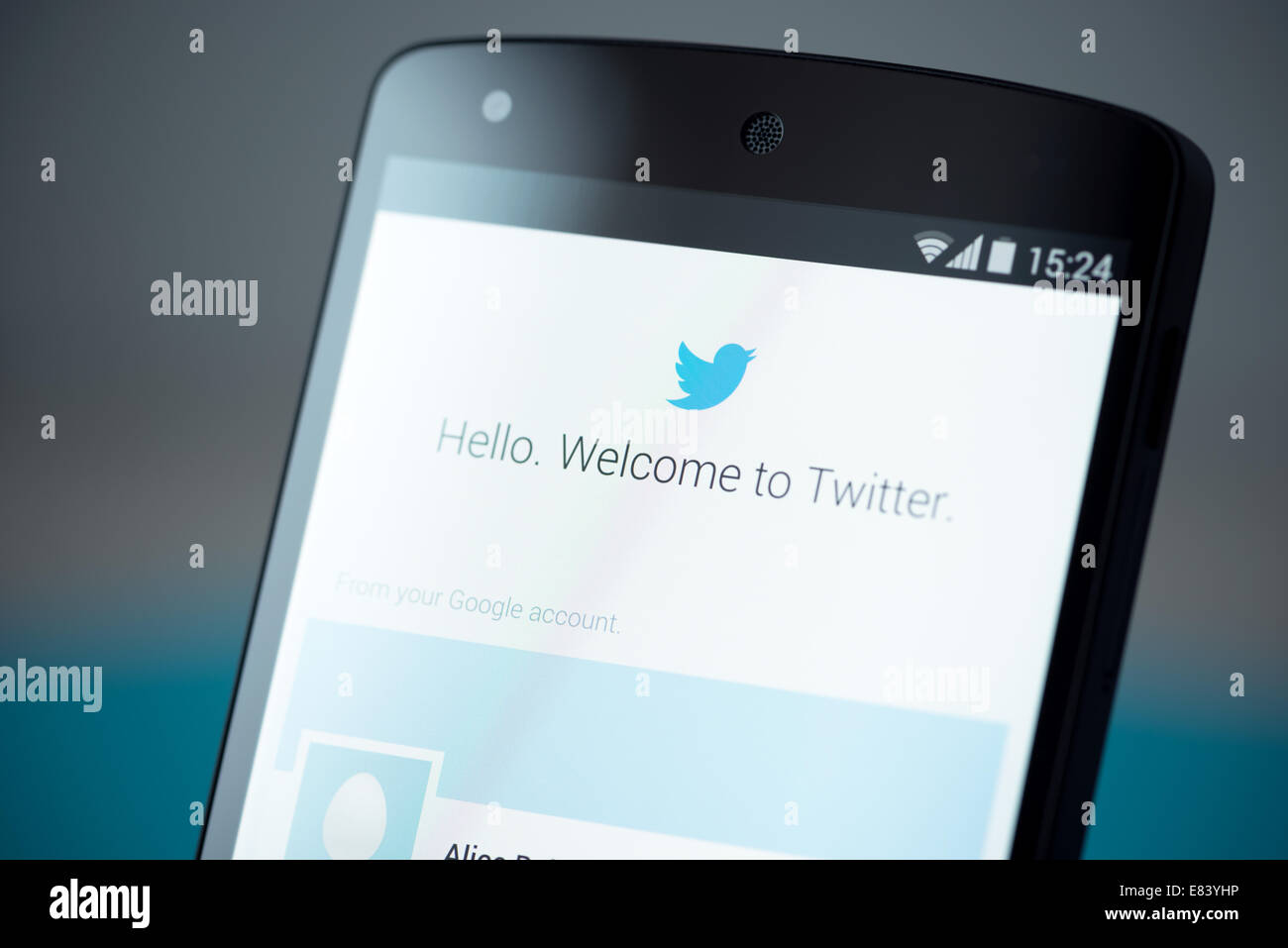 Close-up photo of brand new Google Nexus 5, powered by Android 4.4 version, with Twitter login account page on a screen. Stock Photo