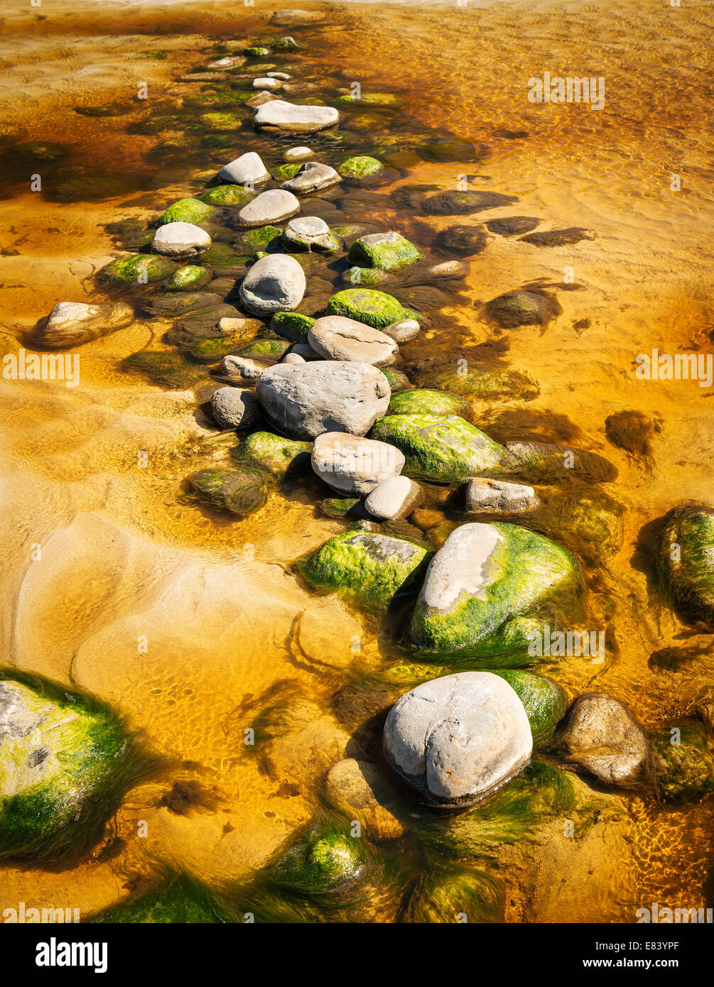 Stepping stones hires stock photography and images Alamy