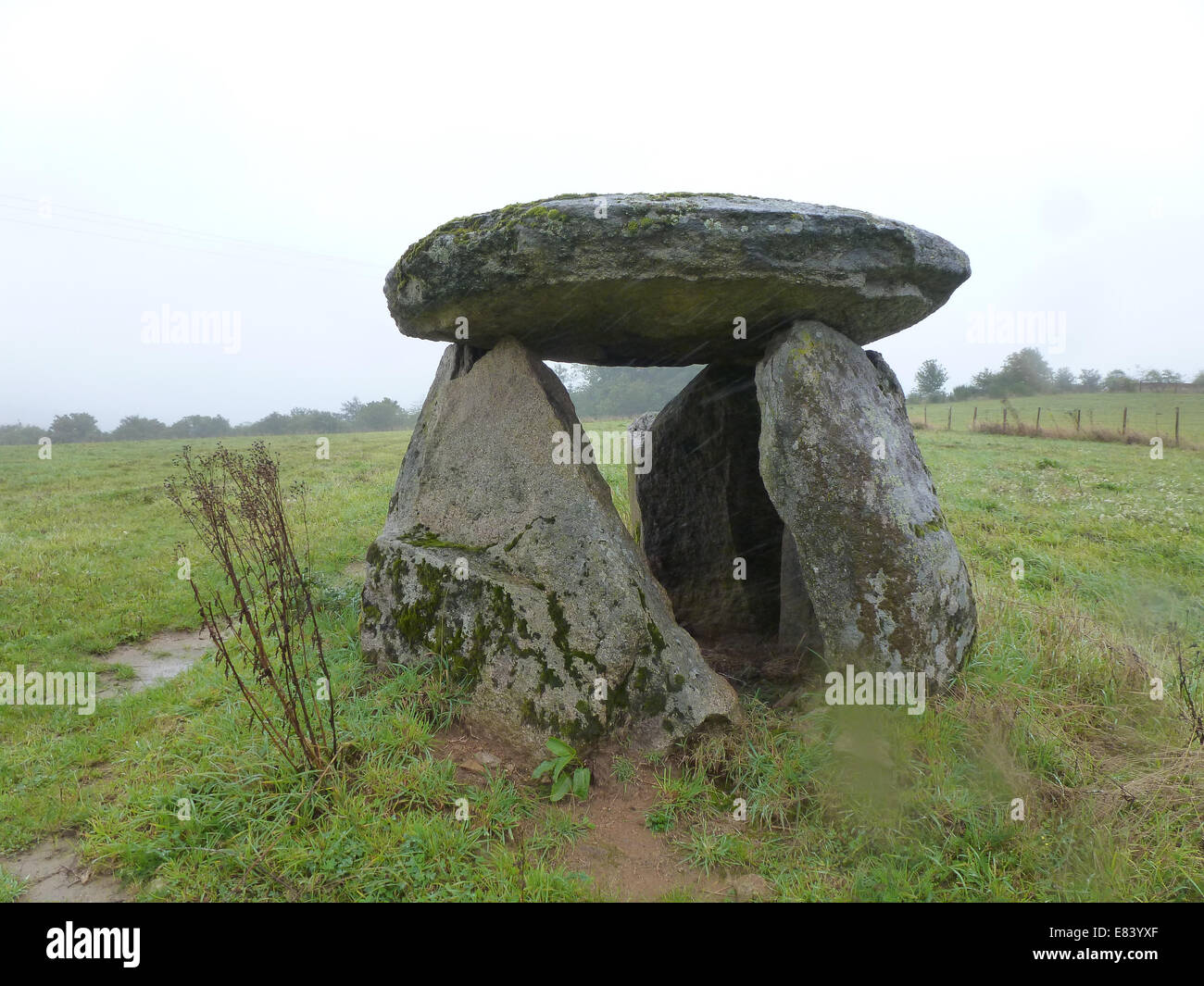 prehistoric menhir of pouyol in france Stock Photo