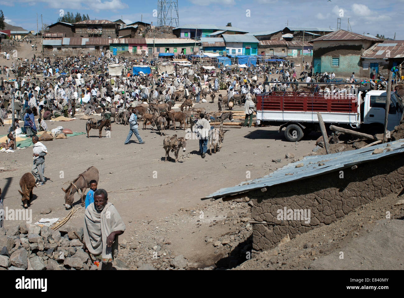 Cattle market, Tigray Province, Ethiopia Stock Photo