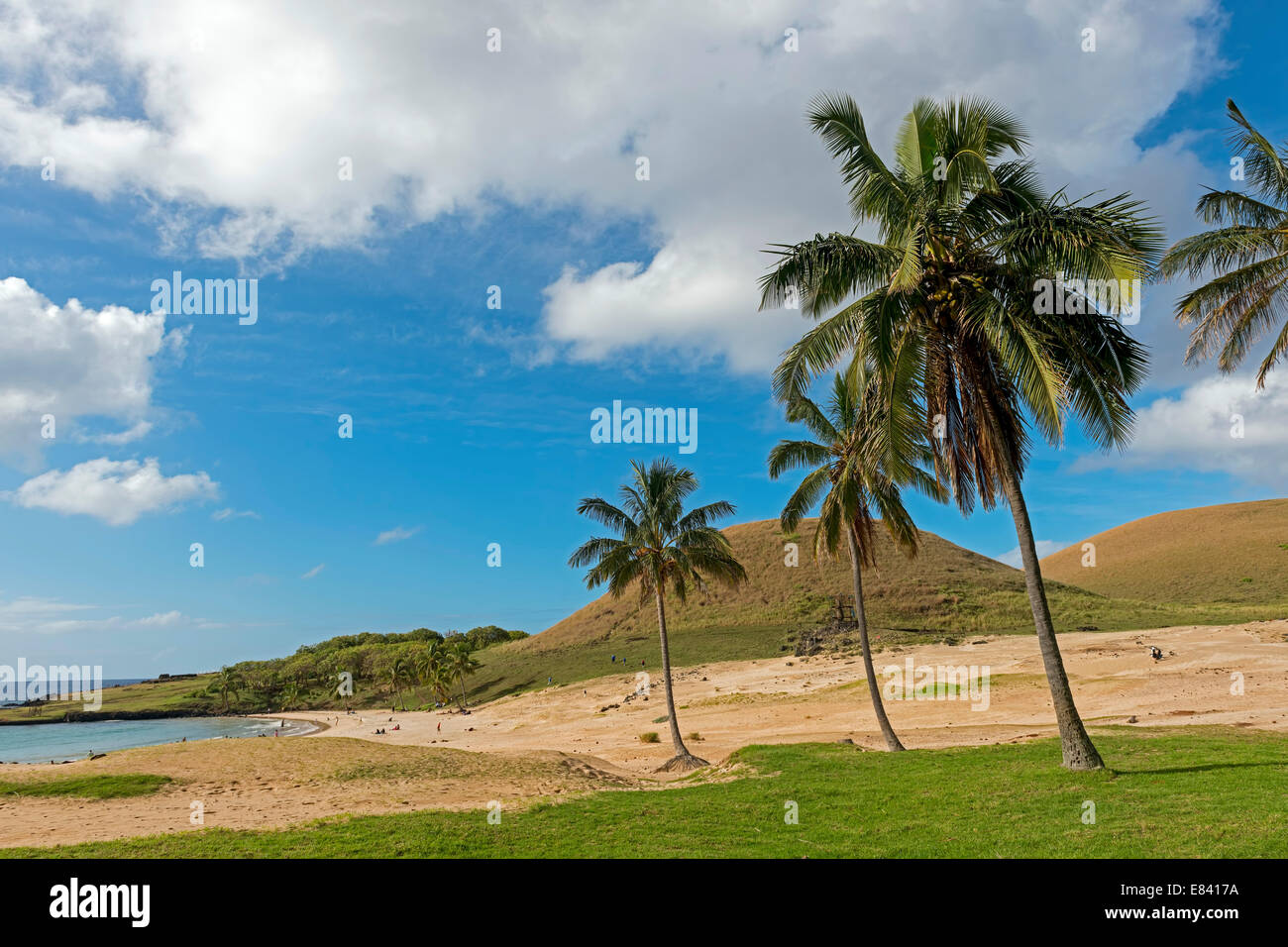 Beach of Anakena, Rapa Nui, Easter Island, Chile Stock Photo